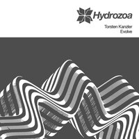 Insighte - Torsten Kanzler
