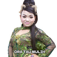 Ora Tau Mulih - Beta