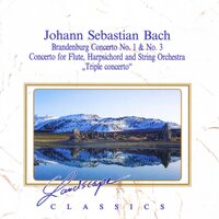 Brandenburg Konzert Nr. 1, F-Dur, BWV 1046: II. Adagio - Orchestra da Camera Dell'Arte & Luigi Zanetti & Johann Sebastian Bach