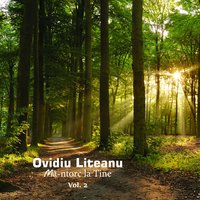 Vino La Cruce - Ovidiu Liteanu