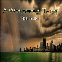 Hard Not To Notice - Rob Ryndak