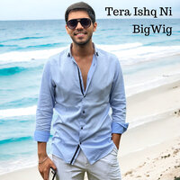 Tera Ishq Ni - Bigwig