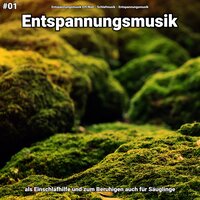 Entspannungsmusik pt. 50 - Entspannungsmusik Elfi Niel & Schlafmusik & Entspannungsmusik