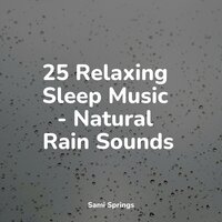 Birds in the Forest - A Sudden Rainstorm & Unforgettable Paradise SPA Music Academy & Avslappning Sound