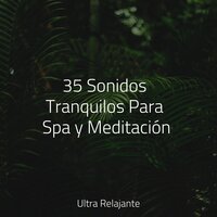 Canciones De Cuna - Sonidos de lluvia para dormir & Sonidos De Lluvia y Tormentas & Natureza Musica Bem-Estar Academia