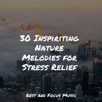 House of Falling Leaves - Baby Sleep Lullaby Academy & Musique Zen Garden & Spa Relaxation