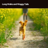 Well Rested Pup - Dog Calming Music