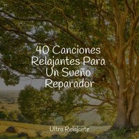Centrado Siempre - Música Relajante para Perros & Zona Música Relaxante & Música Para Dormir Inspirada En El Espacio