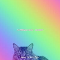 Memories (Sleeping Cats) - Music for Cats Bgm