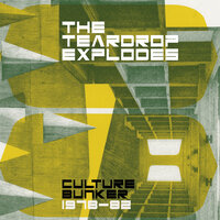 You Disappear From View - The Teardrop Explodes