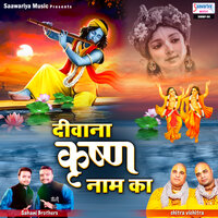 Ham Hai Tere Diwane Aaja Kisi Bhane - Chitra Vichitra Ji