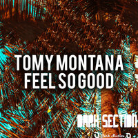 Feel So Good - Tomy Montana