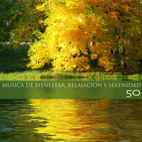 Musica para Liberar la Mente - Bienestar Maestro