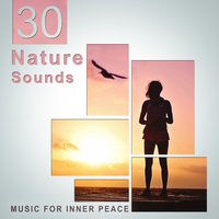 Hypnotic - Keep Calm Music Collection