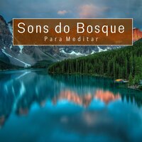 Sons da Natureza para Meditar, Pt. 45 - Meditação Música Ambiente