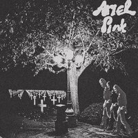 Dust #4 - Ariel Pink