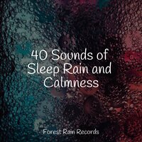 Medium Fire Crackling - Sonido Del Bosque y Naturaleza & Sleep Songs 101 & Rain Sounds & Nature Sounds