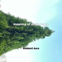 pity party instrumental - Ambient Aura
