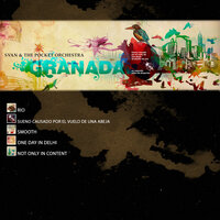 One Day in Dheli - Svan & The Pocket Orchestra-