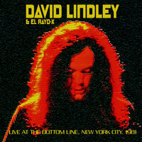 Rats In The Gramercy - David Lindley