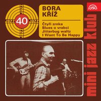Blues o vrabci - Bora Kříž