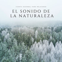 Patinando - Musica relajante con sonidos de la naturaleza & Música Relajante Para Leer & Tiempo de relajación natural