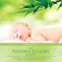 Softly Cresting Waves - Chris Beaty & Dan Gibson's Solitudes