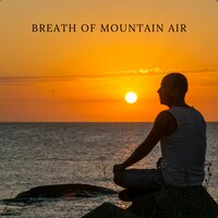 Yoga Music - Spiritual Music Collection & Indian Meditation & Meditation Music Guru
