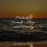 Calm Music - Study Music & Sounds & Childrens Music & Meditation Awareness