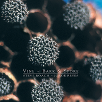 Healing Temple - Steve Roach & Jorge Reyes