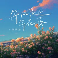等风起等花落 - 王天戈