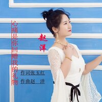 心痛是你回赠我的礼物 - 赵洋