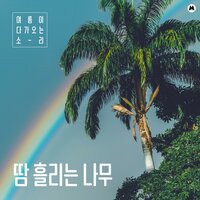 Pink leaves - BGM Teacher