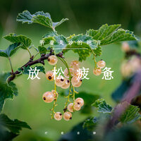森系心旷神怡 - 疗愈音律