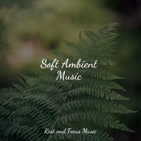 Green Dimension - Música para Relaxar Maestro & Exam Study Classical Music Orchestra & Musique Zen Garden