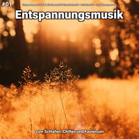 Entspannungsmusik pt. 72 - Entspannungsmusik Meditationsmusik Einschlafmusik & Schlafmusik & Entspannungsmusik
