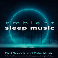 Sleeping Music With Bird Sounds - Sleeping Music & deep sleep music collective & Relaxing Music For Sleeping