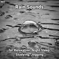 Self Meditation - Rain Sounds & Deep Sleep & Rain Sounds by Angelika Whitta