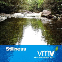 Stillness - Dr. Victor A. Marcial-Vega