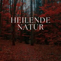 Beach Blanket Brightness - Geräusche der Natur
