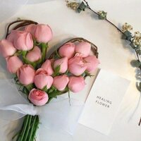 花非花 - 网易天音