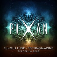 Hypnotized - Fungus Funk