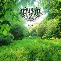 Achter De Bomen - ANDE