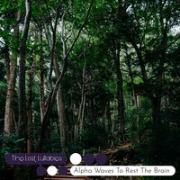 Timeless Calm Ascends - The Lost Lullabies