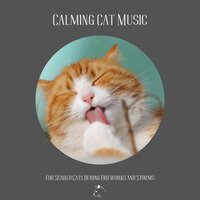Secret Life of Pets - Music For Cats Peace & Music for Cats Project & Relax Your Cat