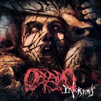 The Reclaimation - Oceano