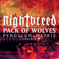 Pack of Wolves - Nightbreed & Pendulum