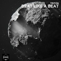 Prognostic - Triton
