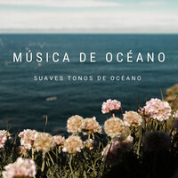 Suaves Olas Costeras - Ruido Blanco & Ondas Alfa & Musica relajante