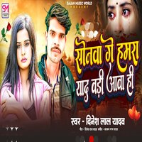 Sonwa Ge Hamra Yaad Badi Aba Hi - Dinesh Lal Yadav